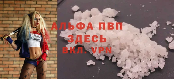 прущий лед Каменка